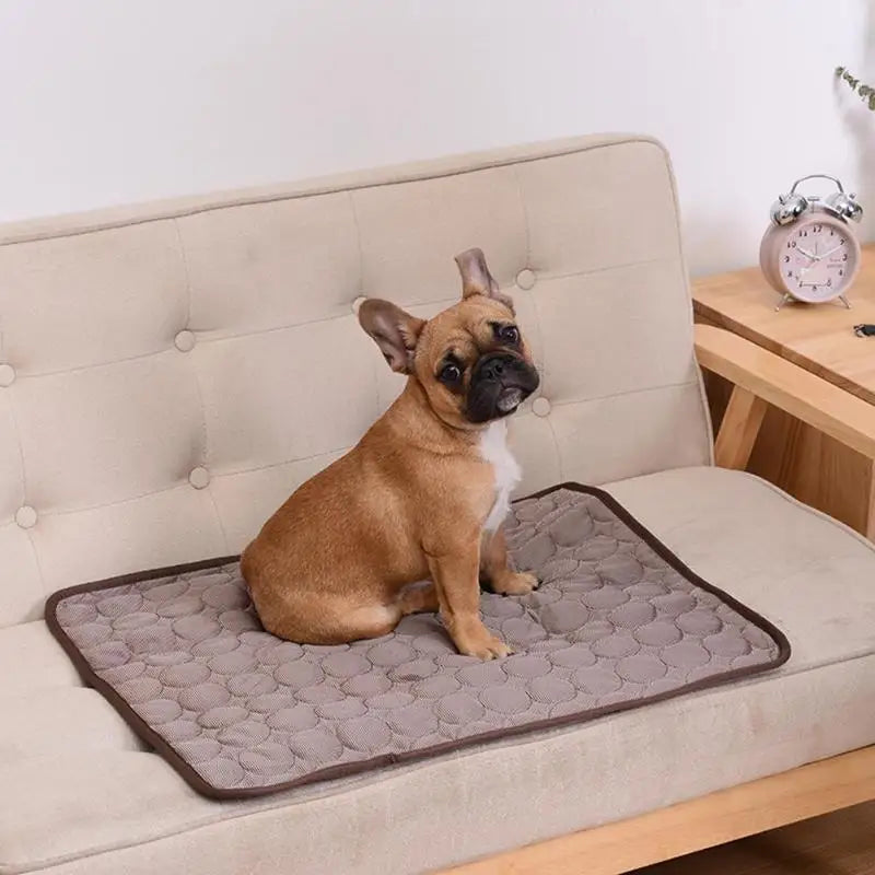 Pet Cooling Mat - Instant Heat Relief Dog Bed for Summer