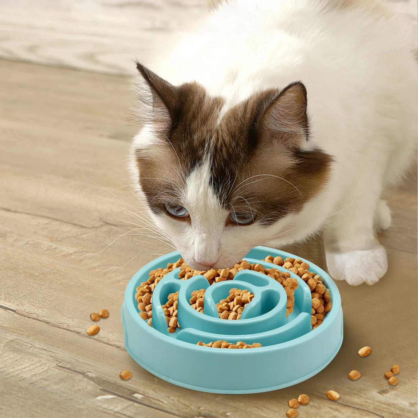 Non Slip Anti-Gulping Pet Dog Slow Feeder Bowl