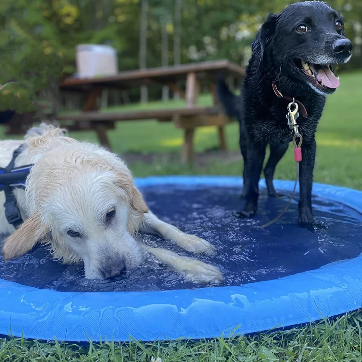 Dog Splash Pad Anti-Slip Dog Sprinkler Pool for Dogs