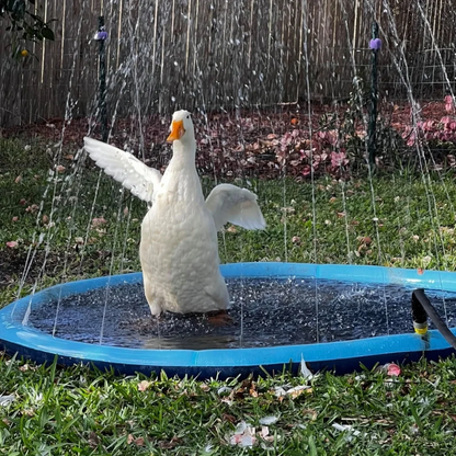 Dog Splash Pad Anti-Slip Dog Sprinkler Pool for Dogs